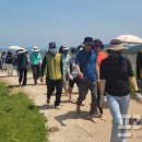 순천만 어싱길 맨발 걷기대회 이미지