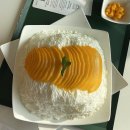 망고카서비스 | 제주 중문 망고빙수 맛집 카노푸스, 카페오놀 2곳 추천 솔직후기