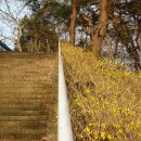숭의중학교 이미지
