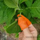 다듬이와골무 이미지