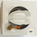 쥬쎄 | 230117 화요일 맑음 - 대전에서 만나요