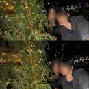 센텀시티역 1번출구 앞(오디토리움 앞) | 부산 벡스코 크리스마스 감성 포토존 (ft. 이벤트에 참여하면 경품까지!?)