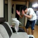 호스텔플레인