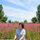 대산체육관 | 창원 나들이 / 나훈아 콘서트, 대산 플라워랜드, 창원수목원
