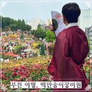 송이분식 - 남동구 논곡로 83-1 | 2026 경기도 여행 부천 가볼만한 곳 백만송이장미원 장미축제 후기 및 주차 정보
