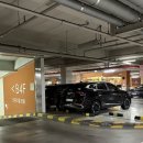 평택시청 중앙광장1 | 위례 중앙광장 맛집 잭슨피자 위례점 아기랑 함께 방문 후기 (주차, 메뉴, 위치)