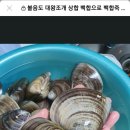 9월17-18일 ..강화 볼음도여행,.백합캐기 이미지