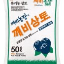 법인탑블루베리
