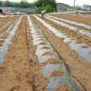 도연농장 이미지