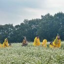 영남목장(제2목장) 이미지