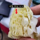 바로물가 | 라오스 방비엥, 김치 프리미엄 VS 로컬 물가, Feat. 뽈살 맛집과 미용실 후기