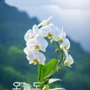 명동경로당 이미지