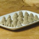 설악산자연학교 이미지