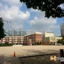 서울월촌초등학교 이미지