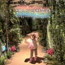 인삼박물관 | 경북 아이랑 실내 가볼만한곳 무료관람 영주인삼박물관