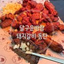 자이글(주) | 돼지갈비 구워서 나와 연기, 냄새없이 깔끔한 직화 돼지양념구이 후기 (달구운바람 돼지갈비 동탄영천점)