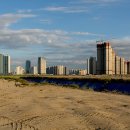 주식회사알파카부동산중개법인 이미지