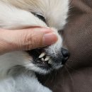 남악복음내과의원 | 전라남도 목포시 예방접종 전문 병원 추천 BEST 6곳