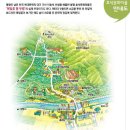 [울산출발] 9월11일(토) 봉평 메밀꽃 축제- 돌핀트레킹클럽 이미지