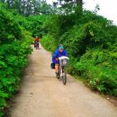 산청(통영) 이미지