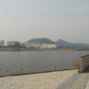 부귀경로당 Daum카페