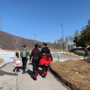 하이원  팰리스호텔 이미지