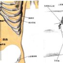 상곡2 Daum카페