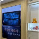 흥덕치과의원 네이버블로그