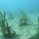 고금면-6 이미지