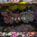 낙동초교 | [부산] 엄궁 꽃시장 후기 | 농협부산화훼공판장 | 부산 꽃시장 | 셀프 꽃꽂이 | 꽃 가격 정보 ⭕️