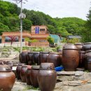 강원계분