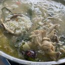 산골가든 | [ 북한산백숙 맛집 ] 산골가든 닭백숙 먹어본 추천후기