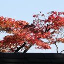 호암가든 이미지