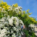 대천공원4호 이미지