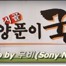 양푼이국수집 Daum카페