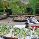 섬마을 유통 이미지