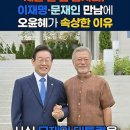 오윤혜, 이재명·문재인 만남을 보며 "이렇게 할 일이 산적인데…" 이미지