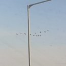 양촌마을 이미지