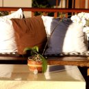 문갤러리가구백화점 이미지