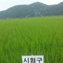 희식농장 Daum카페
