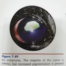 열린동물병원 이미지