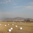 신원사~화헌리 이미지