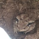 두꺼비하우스 이미지