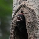 아기사랑 이미지