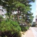 휴먼빌아파트 이미지