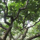 유빈농장 이미지