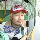 다드몽 네이버블로그