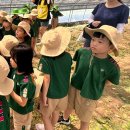 유주농장 이미지