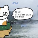 쓰리디러브 이미지