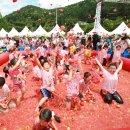 토마토 수영장 이미지